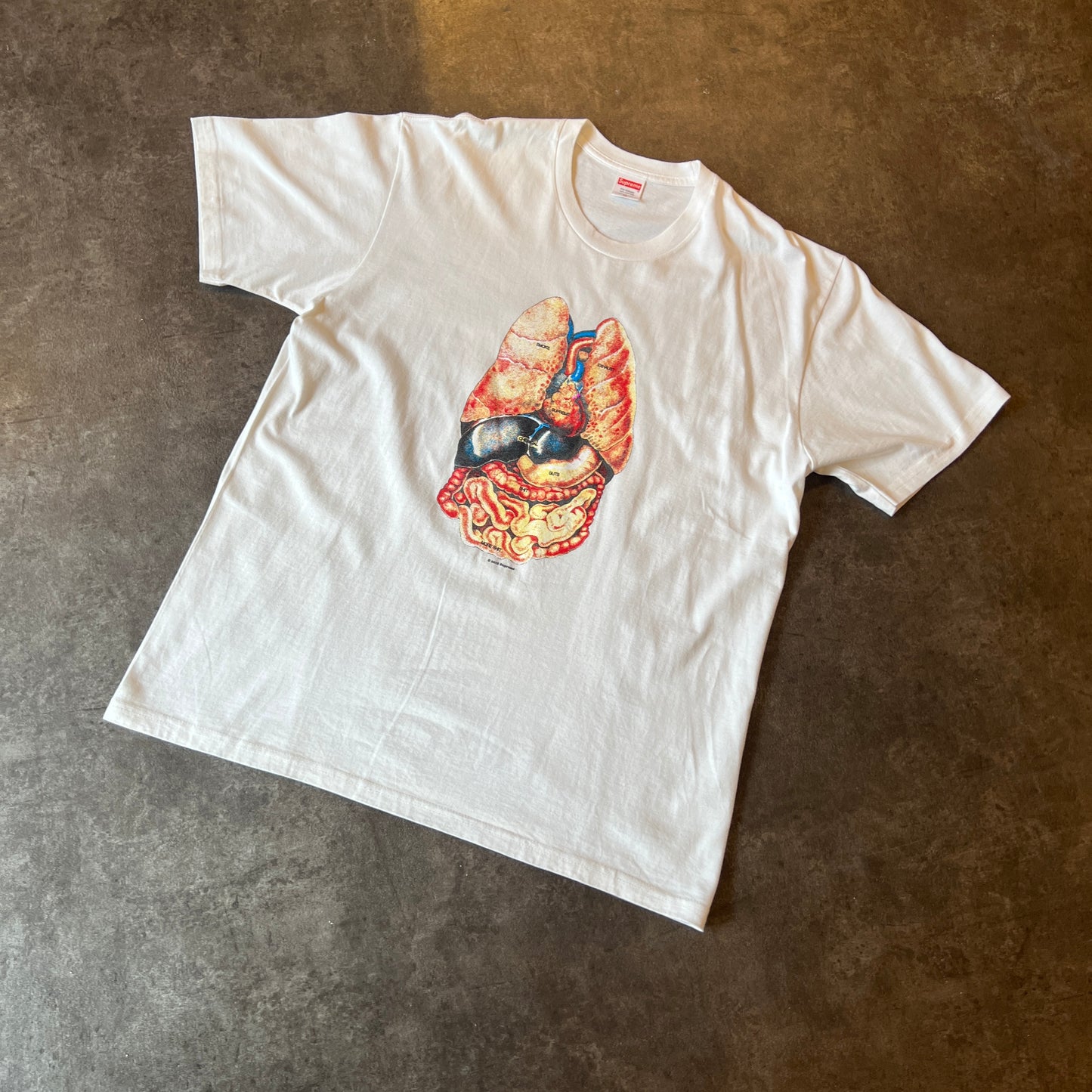 Supreme Guts Tee White Taglia XL (Usato)